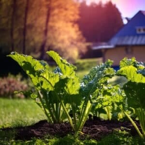 Křen v našem jídelníčku