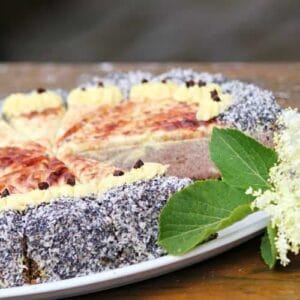 Makový zákusek - cheesecake - mák a zdraví, jak vařit mák, bezlepkový, bez vajec, vegan