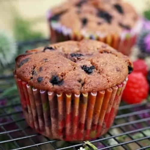 Ostružinové muffiny bez vajec s malinami, čokoládou a lískovými oříšky. Vláčné ovocné muffiny s jablečným pyré a Hraškou Vanilkou.