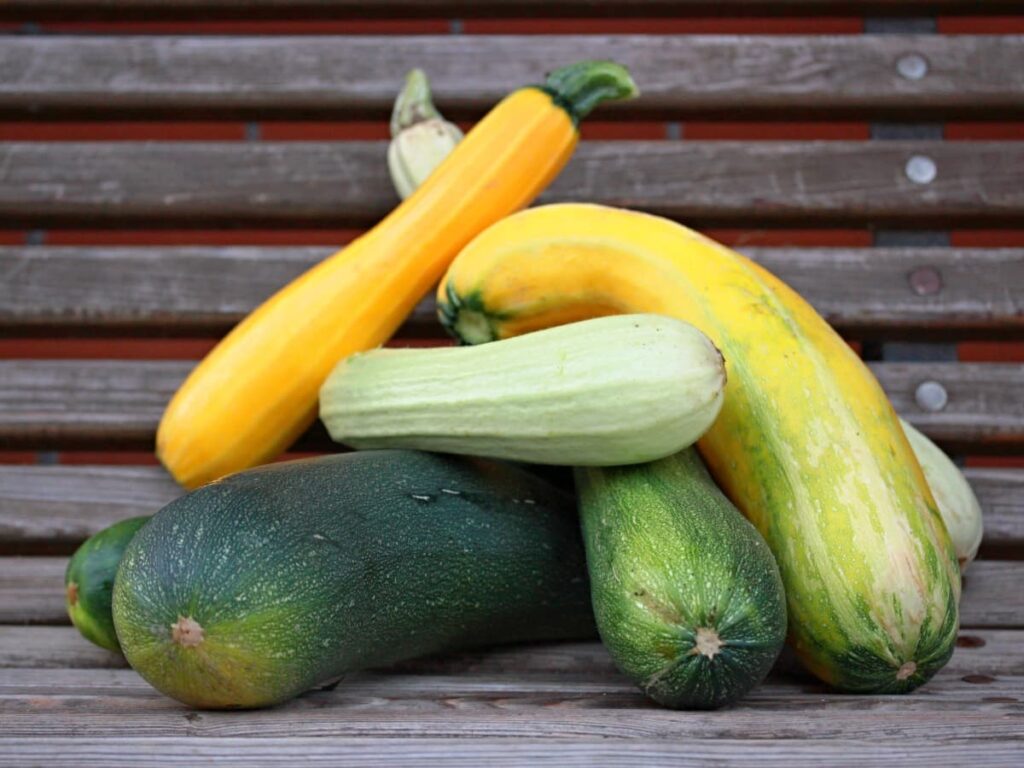 cuketove recepty vegan a bez lepku 1